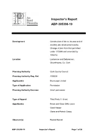 Inspector's Report ABP-305398-19