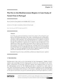 The Fire in the Mediterranean Region: a Case Study of Forest