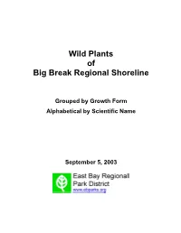 3-Web BB Plant List