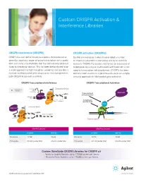 Custom CRISPR Activation & Interference Libraries