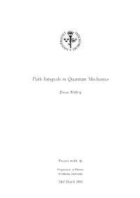 Path Integrals in Quantum Mechanics