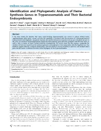 Identification and Phylogenetic Analysis of Heme Synthesis Genes in Trypanosomatids and Their Bacterial Endosymbionts