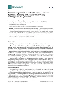 Seasonal Reproduction in Vertebrates: Melatonin Synthesis, Binding, and Functionality Using Tinbergen’S Four Questions