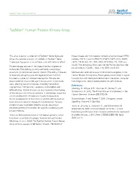 Taqman® Human Protein Kinase Array
