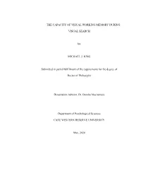 The Capacity of Visual Working Memory During