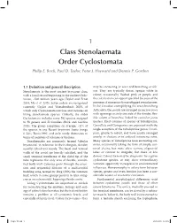 1 Class Stenolaemata Order Cyclostomata Philip E