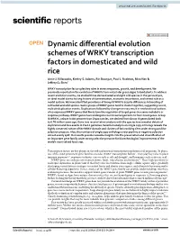 Dynamic Differential Evolution Schemes of WRKY Transcription