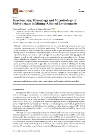 Geochemistry, Mineralogy and Microbiology of Molybdenum in Mining-Affected Environments