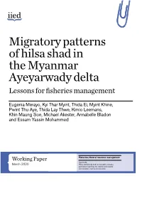 Migratory Patterns of Hilsa Shad in the Myanmar Ayeyarwady Delta Lessons for Fisheries Management