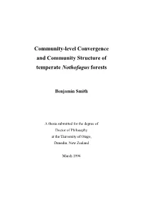 PDF of Entire Thesis