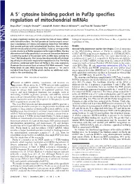 A 5 Cytosine Binding Pocket in Puf3p Specifies Regulation Of