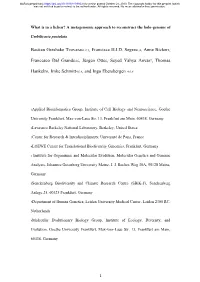 A Metagenomic Approach to Reconstruct the Holo-Genome Of