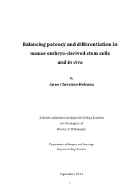 Balancing Potency and Differentiation in Mouse Embryo-Derived Stem Cells and in Vivo
