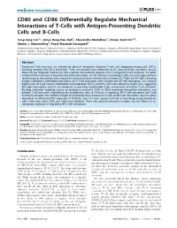 CD80 and CD86 Differentially Regulate Mechanical Interactions of T-Cells with Antigen-Presenting Dendritic Cells and B-Cells