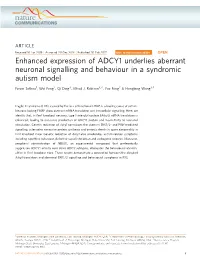 Enhanced Expression of ADCY1 Underlies Aberrant Neuronal Signalling and Behaviour in a Syndromic Autism Model