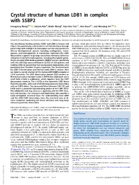 Crystal Structure of Human LDB1 in Complex with SSBP2