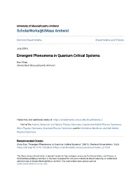 Emergent Phenomena in Quantum Critical Systems