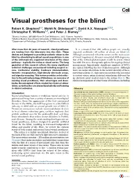 Visual Prostheses for the Blind