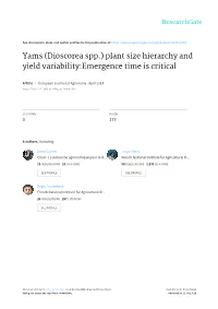 Yams (Dioscorea Spp.) Plant Size Hierarchy and Yield Variability:Emergence Time Is Critical