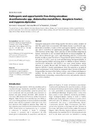 Acanthamoeba Spp., Balamuthia Mandrillaris, Naegleria Fowleri, And