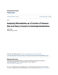 Analyzing Riboswitches As a Function of Genome Size and Genus Ancestry in Gammaproteobacteria