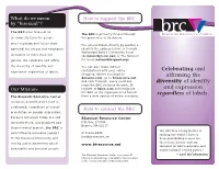 Celebrating and Affirming the Diversity of Identity and Expression Regardless of Labels