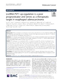 Lncrna PVT1 Up-Regulation Is a Poor Prognosticator and Serves As A