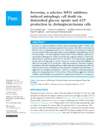 Reversine, a Selective MPS1 Inhibitor, Induced Autophagic Cell Death Via Diminished Glucose Uptake and ATP Production in Cholangiocarcinoma Cells