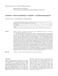 Systematics, Evolution and Phylogeny of Annelida – a Morphological Perspective