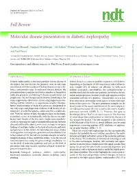 Full Review Molecular Disease Presentation in Diabetic Nephropathy
