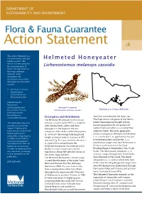 Helmeted Honeyeater Version Has Been Prepared for Web Publication
