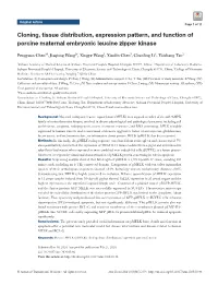 Cloning, Tissue Distribution, Expression Pattern, and Function of Porcine Maternal Embryonic Leucine Zipper Kinase
