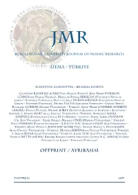 Offprint / Ayribasim