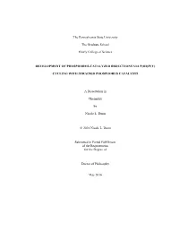 Open NLD Thesis FINAL.Pdf