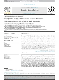 Phylogenetic Analysis of the Calvaria of Homo Floresiensis