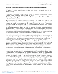 Retrovirus Capsid Assembly and Polymorphism Studied by Cryo-EM and Cryo-ET