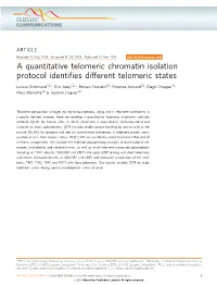 A Quantitative Telomeric Chromatin Isolation Protocol Identifies Different Telomeric States