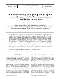 Mucus-Net Feeding on Organic Particles by the Vermetid Gastropod Dendropoma Maximum in and Below the Surf Zone