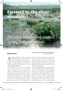 The Story of Breeding Waders on the Somerset Levels