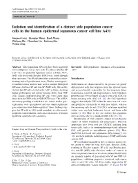 Isolation and Identification of a Distinct Side Population Cancer Cells in The