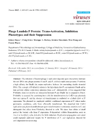 Phage Lambda P Protein: Trans-Activation, Inhibition Phenotypes and Their Suppression