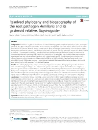 Resolved Phylogeny and Biogeography of the Root Pathogen Armillaria and Its Gasteroid Relative, Guyanagaster Rachel A
