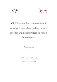 CREB-Dependent Transcription in Astrocytes: Signalling Pathways, Gene Profiles and Neuroprotective Role in Brain Injury