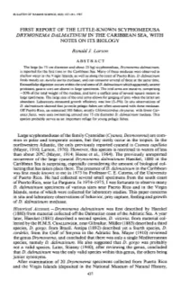 First Report of the Little-Known Scyphomedusa &lt;I&gt;Drymonema Dalmatinum&lt;/I&gt; in the Caribbean Sea, with Notes on Its Bi