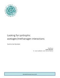 Looking for Syntrophic Acetogen/Methanogen Interactions
