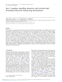 Spry2 Regulates Signalling Dynamics and Terminal Bud Branching Behaviour During Lung Development