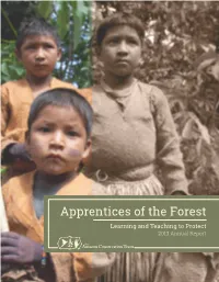 Apprentices of the Forest: 2013 Annual Report