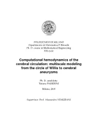 Computational Hemodynamics of Cerebral Vasculature