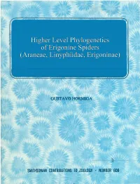 Higher Level Phylogenetics of Erigonine Spiders (Araneae, Linyphiidae, Erigoninae)