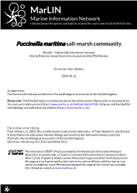 Download PDF Version